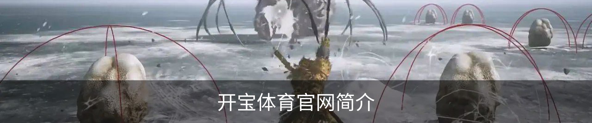 开宝体育官网简介